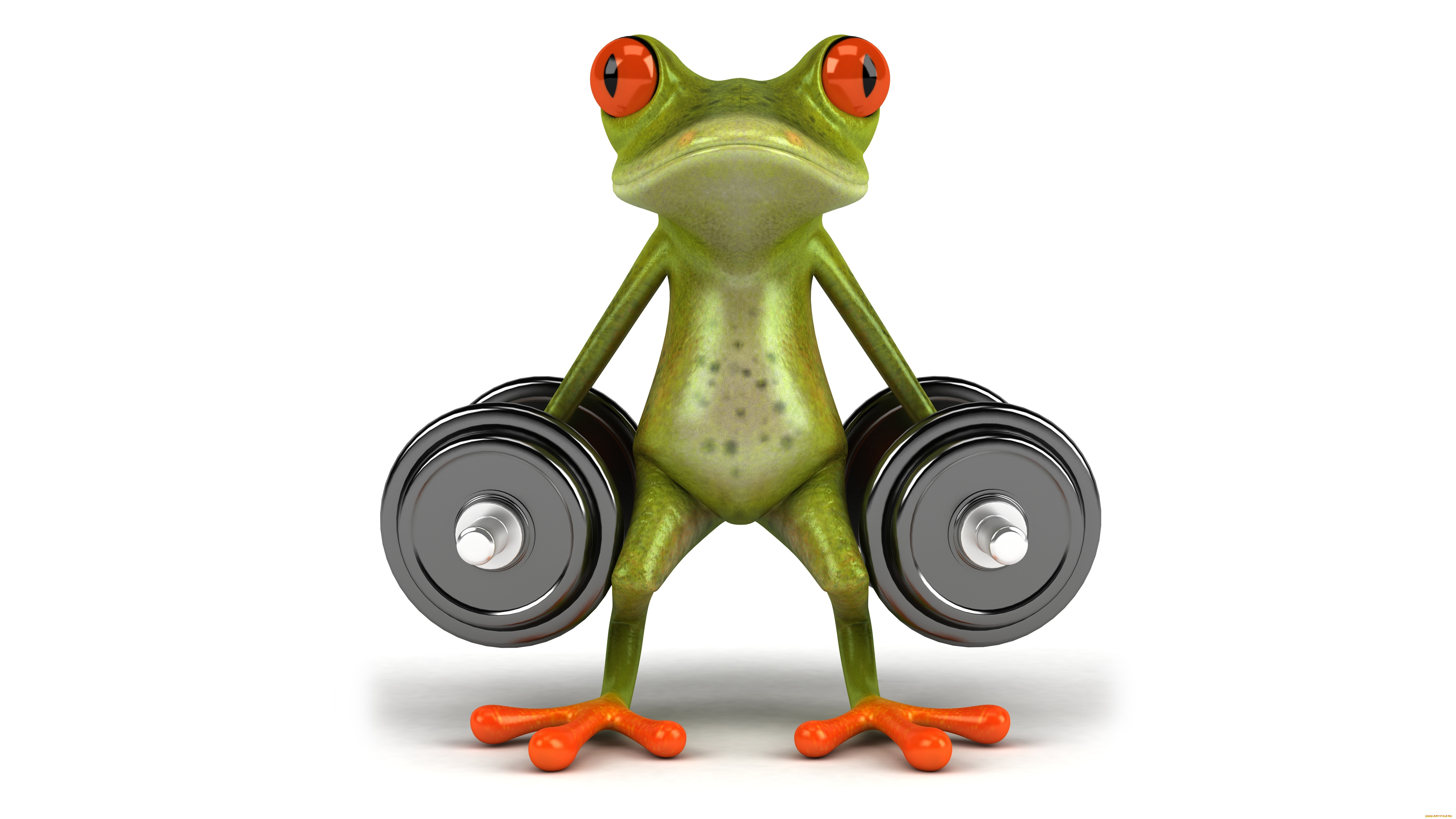 3 ,  , humor, , free, frog, , , 